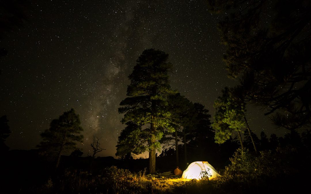 Camping Under the Stars