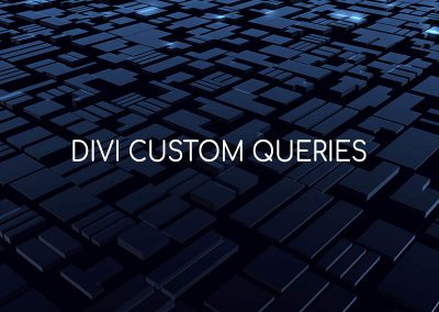 Divi Custom Queries