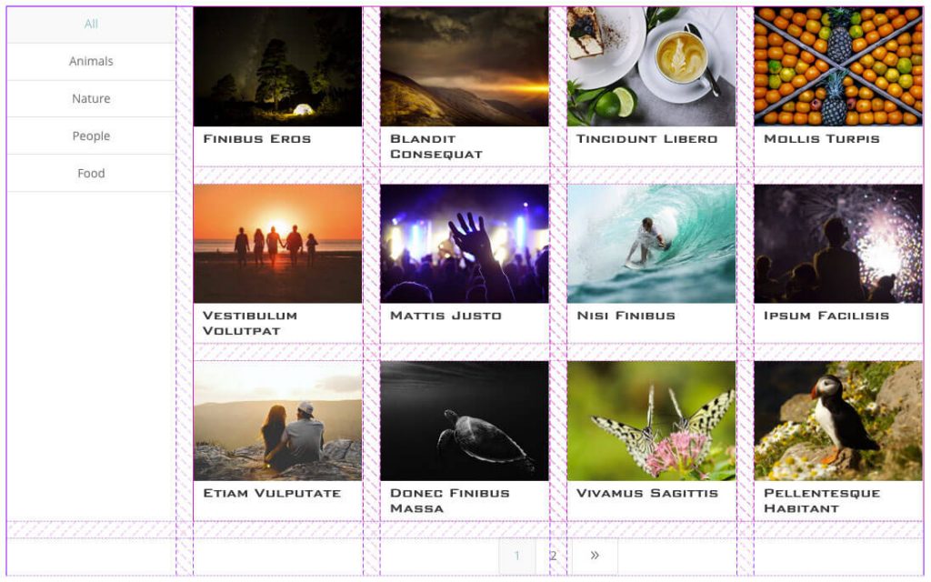 Divi FilterGrid CSS Grid Left Filters