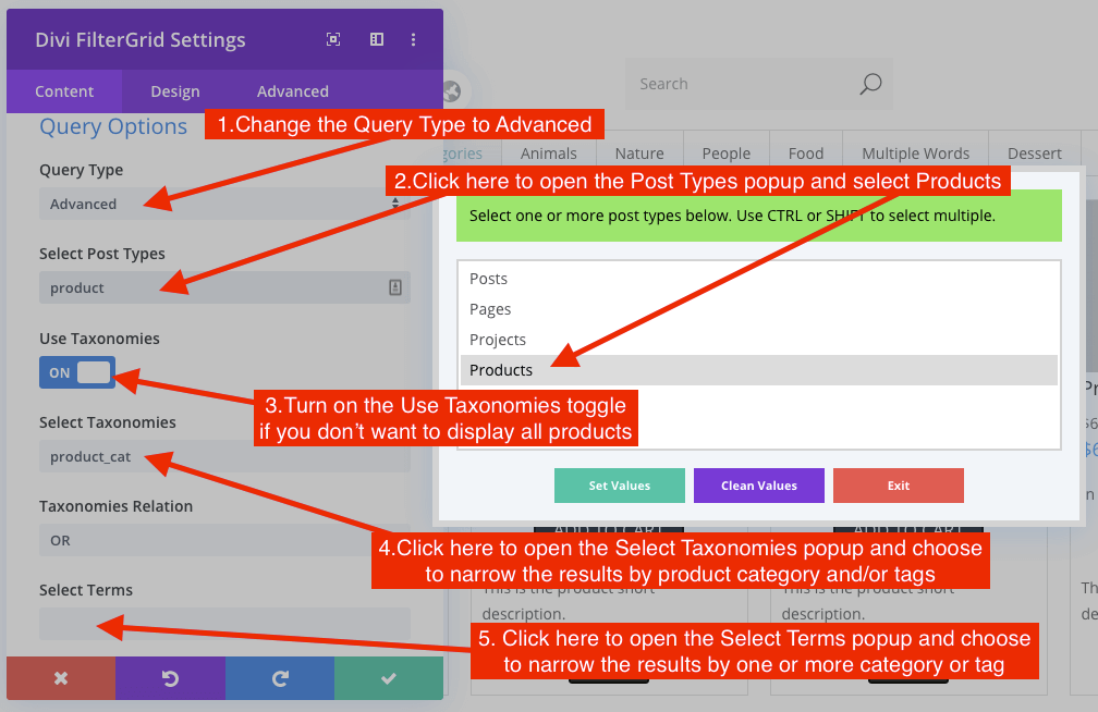 Divi FilterGrid WooCommerce Query